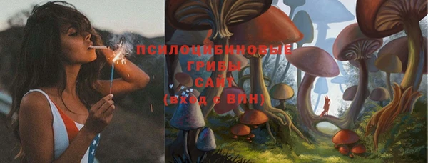 спиды Инсар