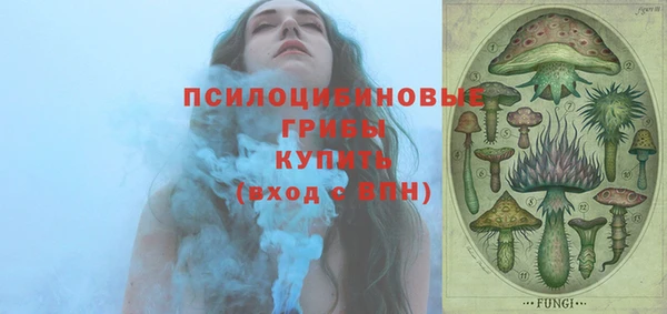 прущие грибы Инта