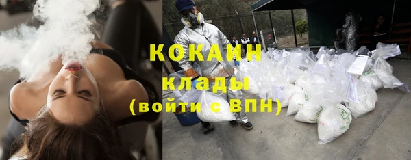 ПСИЛОЦИБИНОВЫЕ ГРИБЫ Иннополис