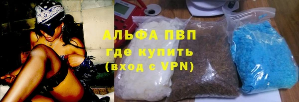 ПСИЛОЦИБИНОВЫЕ ГРИБЫ Иннополис