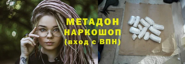 прущие грибы Инта