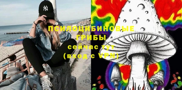 прущие грибы Инта