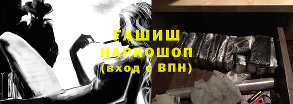 прущие грибы Инта