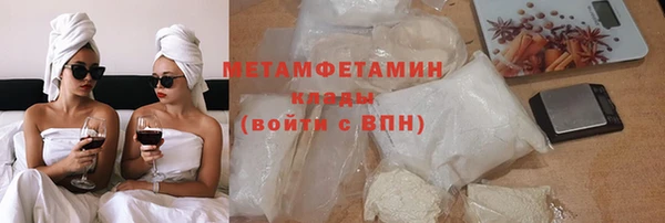 прущие грибы Инта