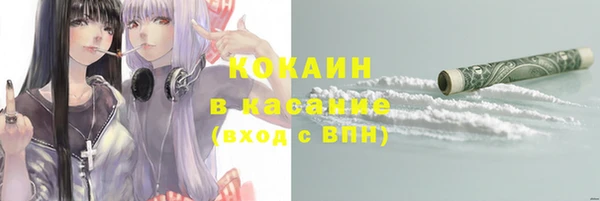 спиды Инсар
