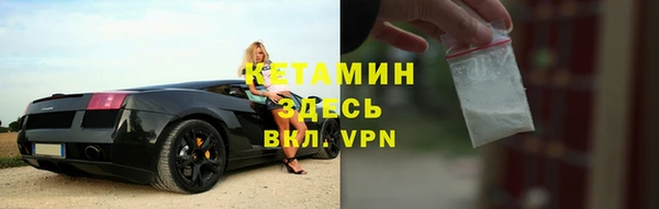 прущие грибы Инта