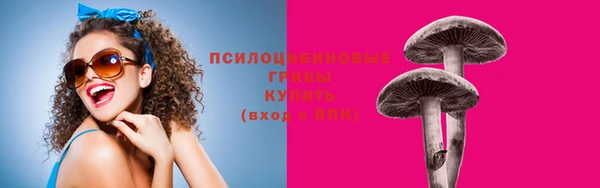 ПСИЛОЦИБИНОВЫЕ ГРИБЫ Иннополис