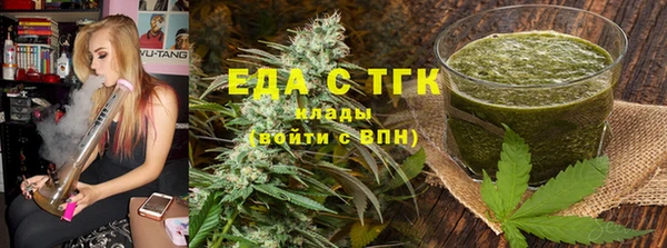 прущие грибы Инта