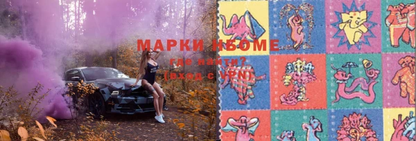 спиды Инсар