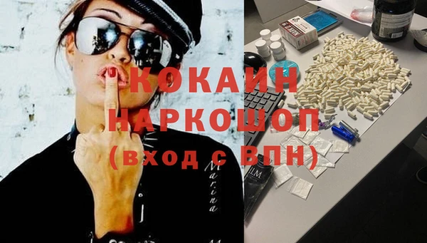 прущие грибы Инта