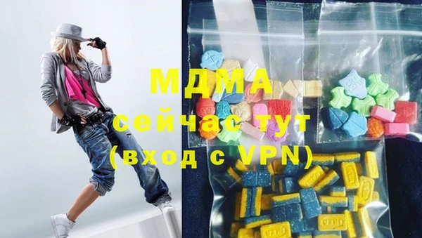 прущие грибы Инта