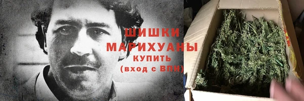 прущие грибы Инта