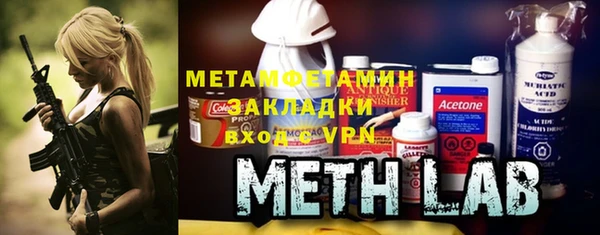 прущие грибы Инта