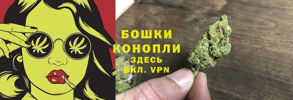 прущие грибы Инта